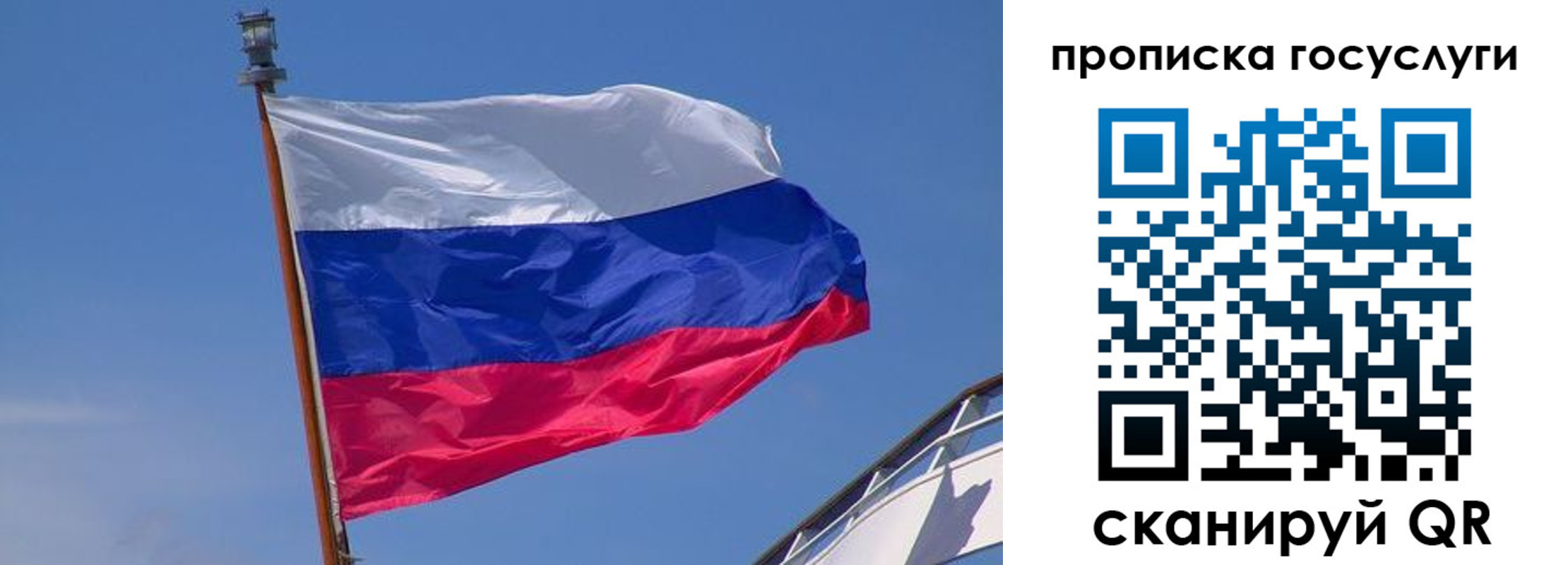 регистрация в Невеле